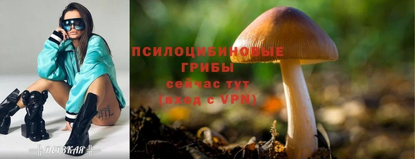 а пвп мука Кулебаки