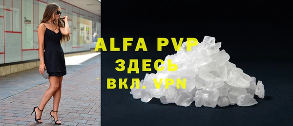прущие грибы Куйбышев