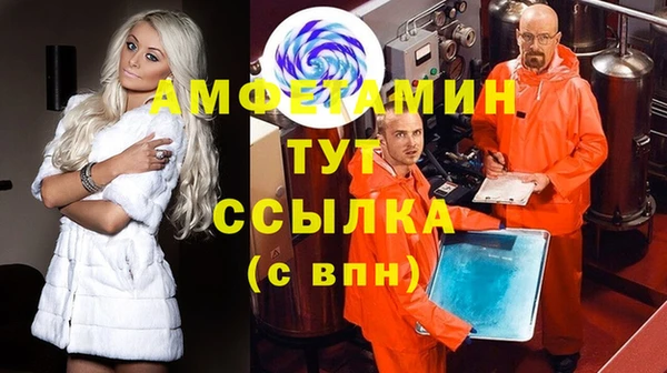 прущие грибы Куйбышев