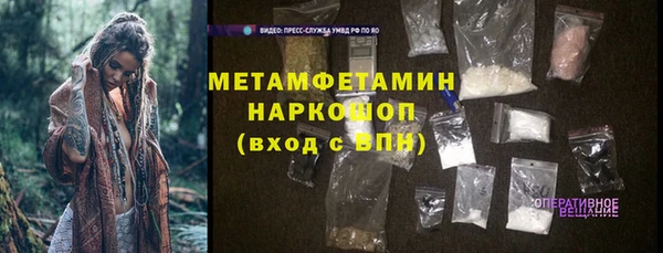 сатива Кукмор