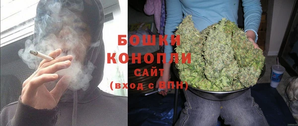 прущие грибы Куйбышев