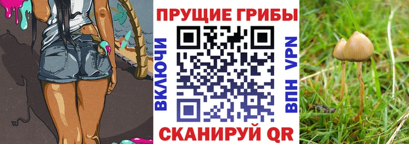 Галлюциногенные грибы Magic Shrooms  Саяногорск 