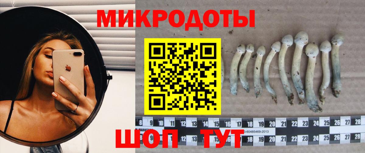 Саяногорск  Галлюциногенные грибы MAGIC MUSHROOMS  Псилоцибиновые грибы прущие грибы  Вход с VPN 